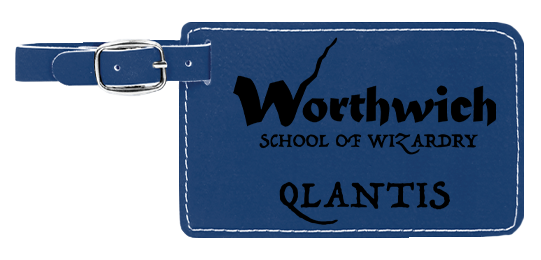 Qlantis Leatherette Luggage Tag