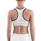 Classic Pride spaced graphite stripes Sports bra