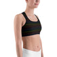 Classic Pride spaced graphite stripes Sports bra