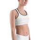 Classic Pride spaced graphite stripes Sports bra