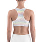 Classic Pride spaced graphite stripes Sports bra