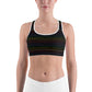 Classic Pride spaced graphite stripes Sports bra