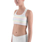 Classic Pride spaced graphite stripes Sports bra