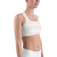Classic Pride spaced graphite stripes Sports bra